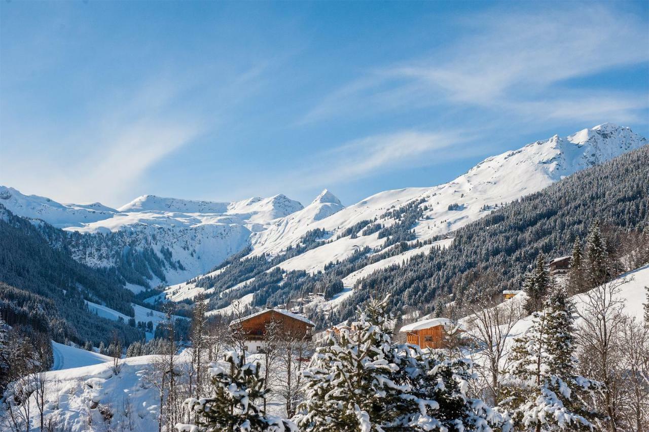 Appartement Berghof Saalbach-Hinterglemm Dış mekan fotoğraf